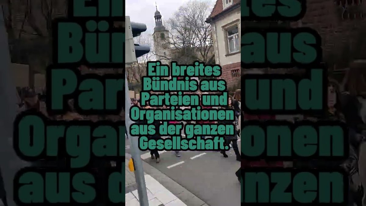 Demo für Demokratie und gegen Rechtsextremismus Februar 2024 in Wiesloch